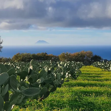 Bed & Breakfast Le Palme Briatico
