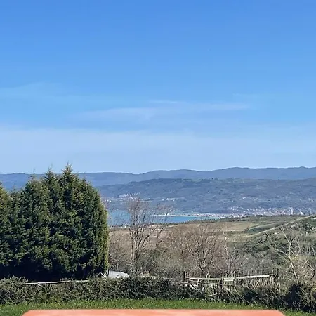 Nocleg ze śniadaniem Le Palme 3*