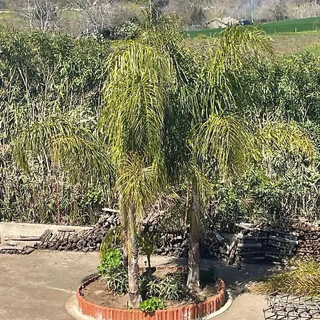 Nocleg ze śniadaniem Le Palme Briatico