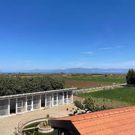 Le Palme Bed and breakfast