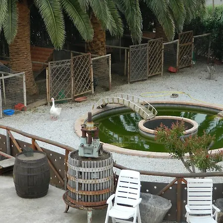 Le Palme