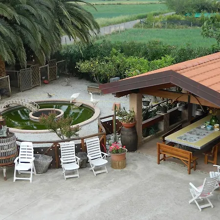 Bed & Breakfast Le Palme 3*