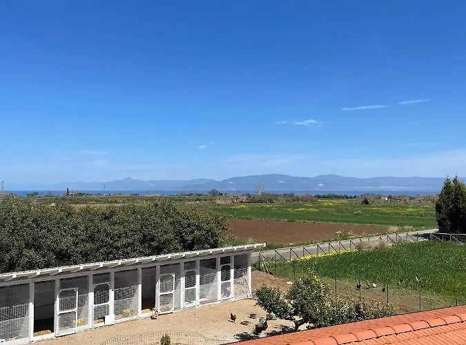 Le Palme Alojamento de Acomodação e Pequeno-almoço